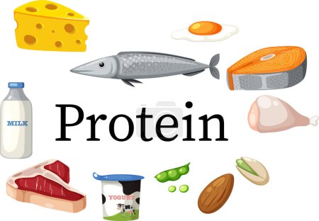 Ilustración de Foods surrounding protein text illustration - Imagen libre de derechos