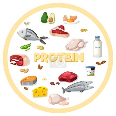 Téléchargez les illustrations : Variété d'aliments protéinés illustration - en licence libre de droit