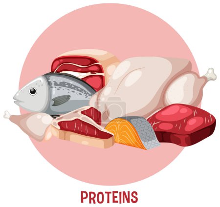 Ilustración de Variety of protein meats with text illustration - Imagen libre de derechos
