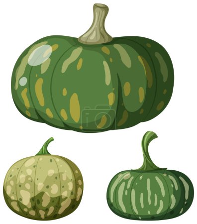 Téléchargez les illustrations : Set of green pumpkins vector illustration - en licence libre de droit