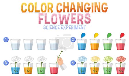 Ilustración de Cambio de color flores ciencia experimento ilustración - Imagen libre de derechos