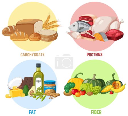 Illustration for The four food groups illustration - Royalty Free Image