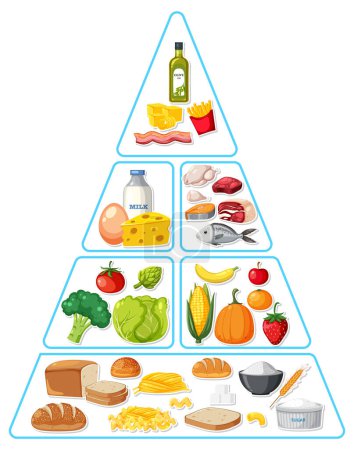 Téléchargez les illustrations : Illustration pyramidale des groupes alimentaires - en licence libre de droit