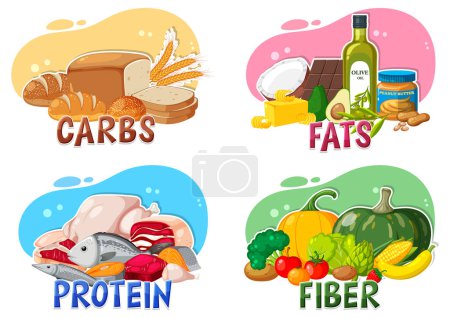 Ilustración de The four main food groups illustration - Imagen libre de derechos