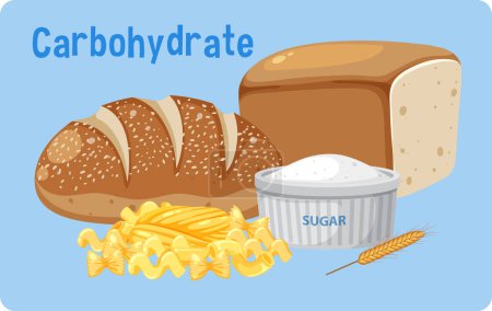 Téléchargez les illustrations : Carbohydrate text with breads and sugar illustration - en licence libre de droit