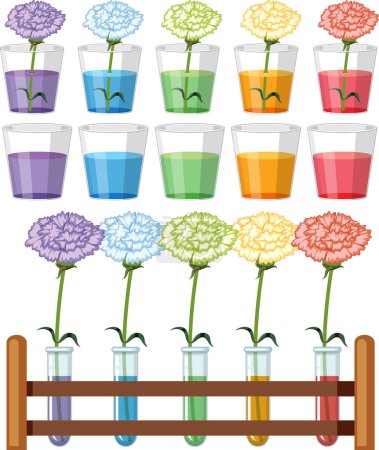 Ilustración de Set of colour science experiments illustration - Imagen libre de derechos