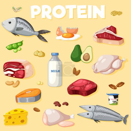 Téléchargez les illustrations : Variété d'aliments protéinés illustration - en licence libre de droit