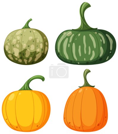 Illustration for Set of different pumpkins vector illustration - Royalty Free Image