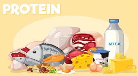 Ilustración de Variety of protein foods poster illustration - Imagen libre de derechos