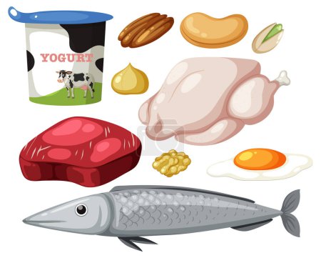 Illustration for Protein foods group on white background illustration - Royalty Free Image