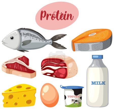 Téléchargez les illustrations : Variété d'aliments protéinés avec illustration textuelle - en licence libre de droit