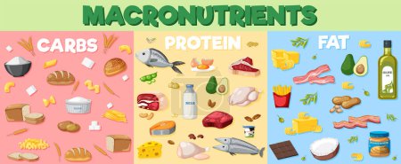 Ilustración de Macronutrients diagram with food ingredients illustration - Imagen libre de derechos