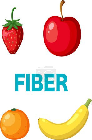 Téléchargez les illustrations : Variety of fiber foods illustration - en licence libre de droit