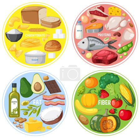 Illustration for The four food groups illustration - Royalty Free Image