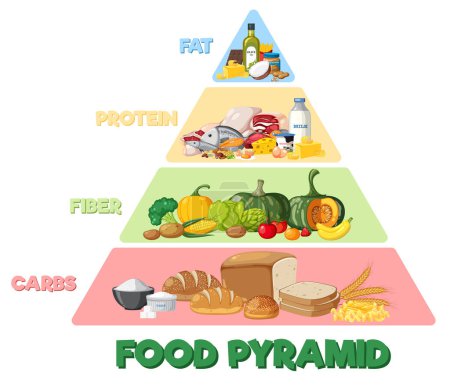 Téléchargez les illustrations : Illustration pyramidale des groupes alimentaires - en licence libre de droit