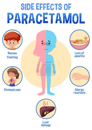 Téléchargez les illustrations : Human anatomy diagram cartoon style of paracetamol side effects illustration - en licence libre de droit