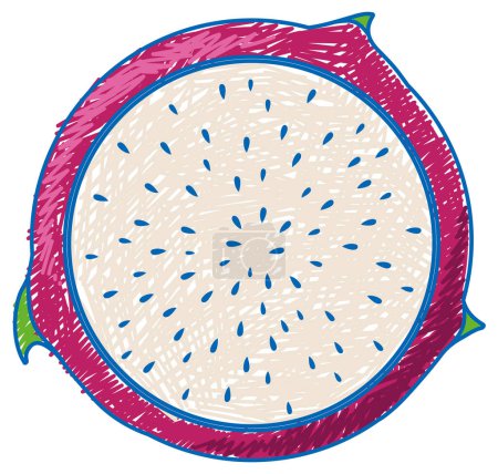 Téléchargez les illustrations : Dragon fruit crayon couleur enfant gribouillage style illustration - en licence libre de droit