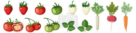 Illustration for Set of vegetables on white background illustration - Royalty Free Image