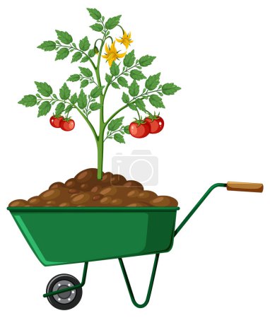 Illustration for Plant on a wheelbarrow isolated illustration - Royalty Free Image