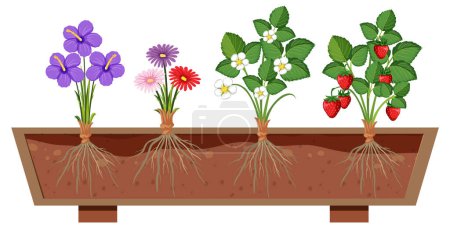 Ilustración de Conjunto de diferentes raíces vegetales que crecen en la ilustración del suelo - Imagen libre de derechos