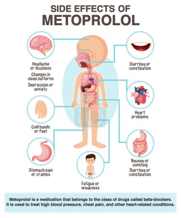 Human anatomy diagram cartoon style of metoprolol side effects illustration