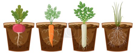 Téléchargez les illustrations : Ensemble de différentes racines de plantes poussant dans l'illustration du sol - en licence libre de droit