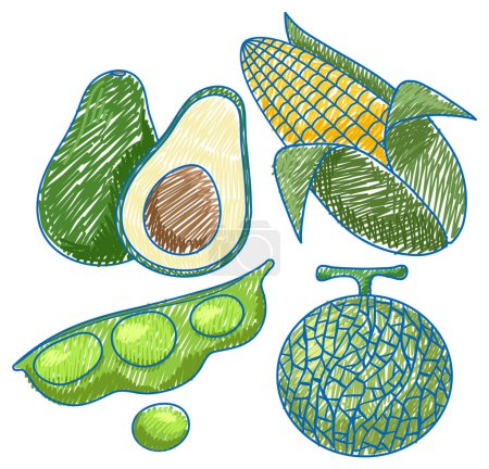 Téléchargez les illustrations : Légumes verts au crayon Croquis de couleur Illustration de style simple - en licence libre de droit