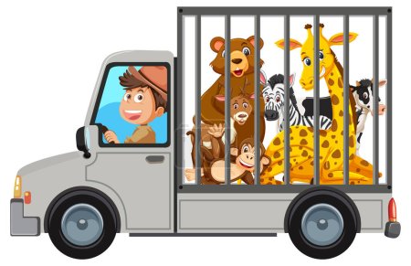 Illustration for Man driving animal to the zoo isolated illustration - Royalty Free Image