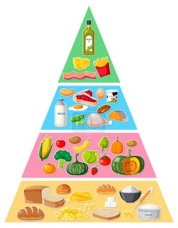 Illustration for Food nutrition groups pyramid illustration - Royalty Free Image