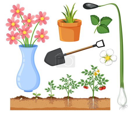 Illustration for Set of plant and gardening tools and equipment illustration - Royalty Free Image