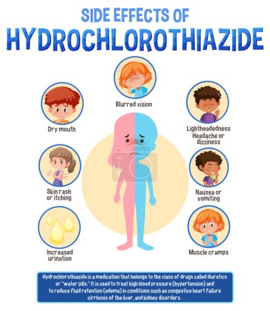 Illustration for Human anatomy diagram cartoon style of hydrochlorothiazide side effects illustration - Royalty Free Image