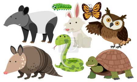 Téléchargez les illustrations : Ensemble d'animaux dessin animé illustration de style simple - en licence libre de droit