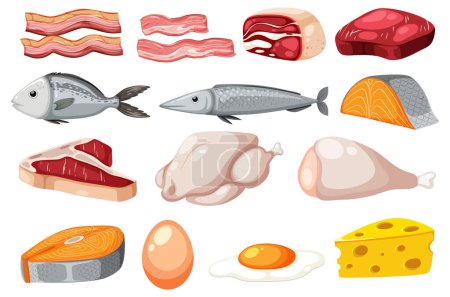 Illustration for Set of cartoon protein food illustration - Royalty Free Image