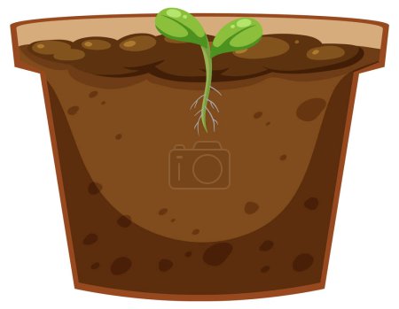 Illustration for Seed germination process concept illustration - Royalty Free Image