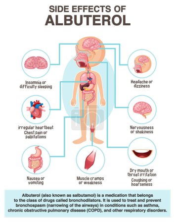 Illustration for Human anatomy diagram cartoon style of albuterol side effects illustration - Royalty Free Image