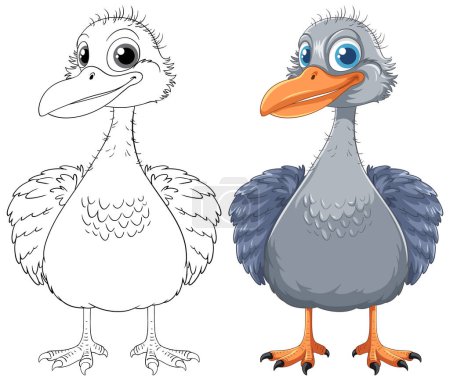 Téléchargez les illustrations : Illustration vectorielle d'un oiseau emu mignon, isolé sur fond blanc - en licence libre de droit