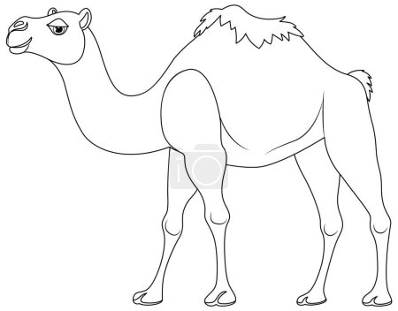 Téléchargez les illustrations : Illustration vectorielle isolée d'un chameau marchant sur un fond blanc - en licence libre de droit