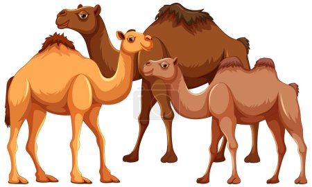 Téléchargez les illustrations : Illustration vectorielle d'une famille de chameaux marchant ensemble, isolés sur un fond blanc - en licence libre de droit