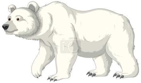 A vector cartoon illustration of a polar bear isolated on a white background