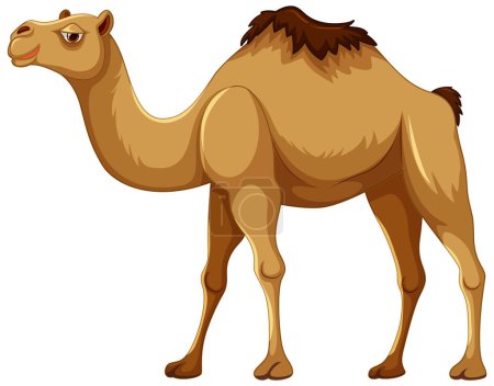Ilustración de Una ilustración de dibujos animados de un camello caminando, aislado sobre un fondo blanco - Imagen libre de derechos