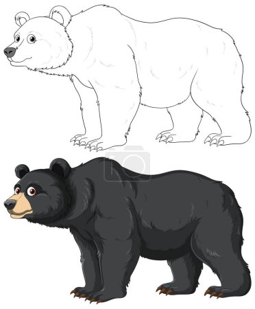 Téléchargez les illustrations : Plan d'un dessin animé d'ours noir pour colorier les pages, isolé sur blanc - en licence libre de droit