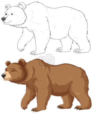 Ilustración de Outline of a grizzly bear cartoon for colouring pages, isolated on white background - Imagen libre de derechos