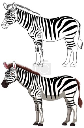 Illustration for A black and white cartoon zebra isolated on a white background - Royalty Free Image