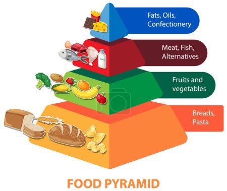 Téléchargez les illustrations : Une infographie illustrée représentant une pyramide alimentaire de dessin animé pour la nutrition - en licence libre de droit