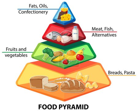 Téléchargez les illustrations : Illustration colorée d'une pyramide alimentaire avec des informations nutritionnelles - en licence libre de droit