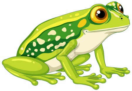 Ilustración de Una ilustración vectorial de dibujos animados de una rana verde aislada sobre un fondo blanco - Imagen libre de derechos