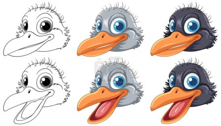 Illustration for A vector cartoon illustration of an emu head with different facial expressions isolated on a white background - Royalty Free Image