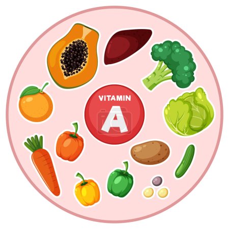Téléchargez les illustrations : Assortiment coloré d'aliments nutritifs contenant de la vitamine A - en licence libre de droit