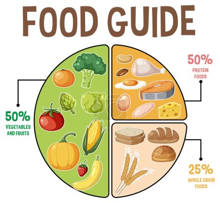 Illustration for Illustration of a circle divided into different macronutrients for a balanced diet - Royalty Free Image