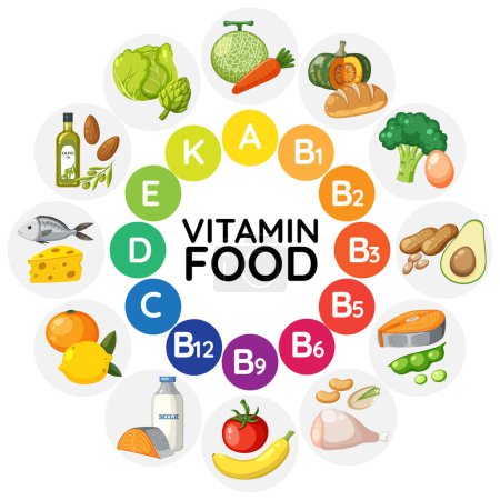 Téléchargez les illustrations : Illustration de divers groupes alimentaires classés par teneur en vitamines - en licence libre de droit